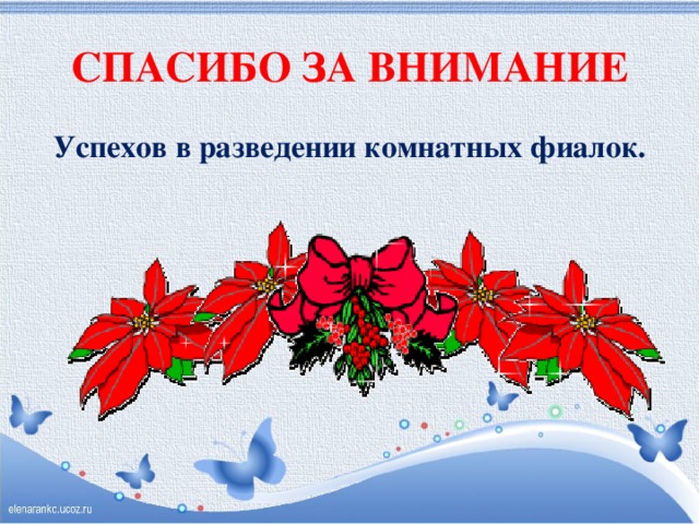 СПАСИБО ЗА ВНИМАНИЕ Успехов в разведении комнатных фиалок.  