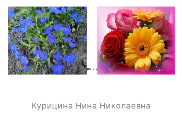      Знакомство с цветами. Курицина Нина Николаевна 