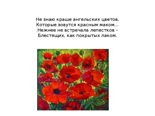   Не знаю краше ангельских цветов,  Которые зовутся красным маком...  Нежнее не встречала лепестков -  Блестящих, как покрытых лаком.    