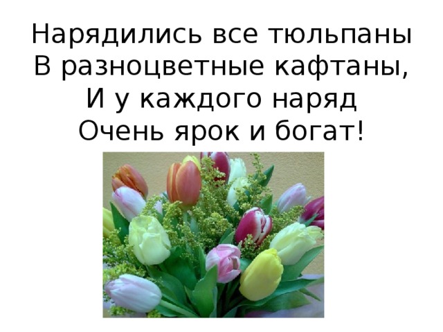 Нарядились все тюльпаны  В разноцветные кафтаны,  И у каждого наряд  Очень ярок и богат! 