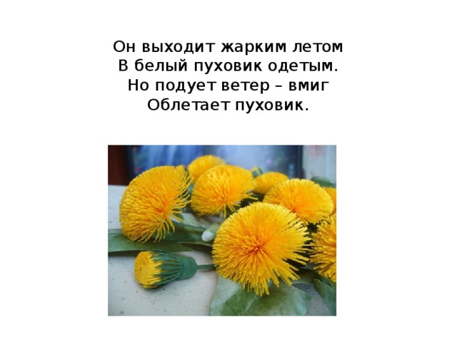  Он выходит жарким летом  В белый пуховик одетым.  Но подует ветер – вмиг  Облетает пуховик.   