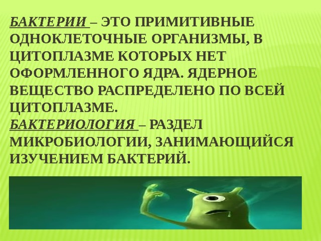 Презентация на тему бактерии 9 класс