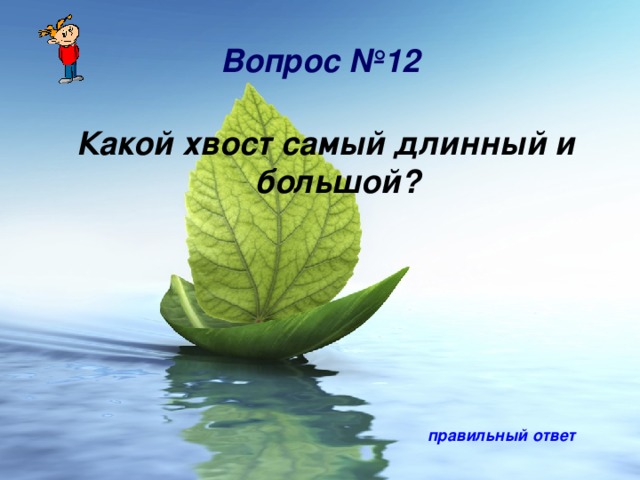 Вопрос №12 Какой хвост самый длинный и большой? правильный ответ 