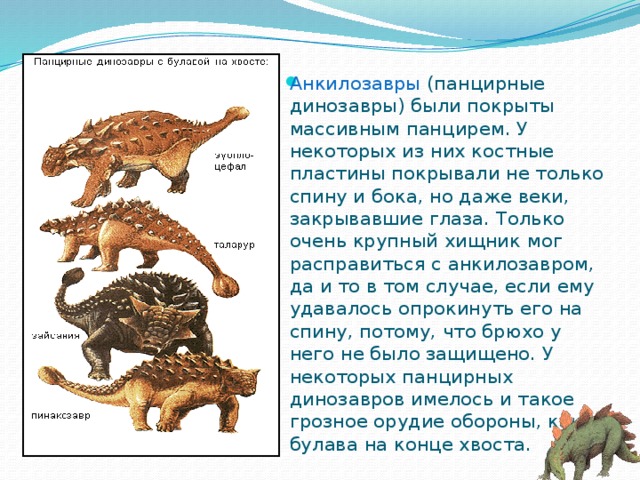 Исследовательский проект мир динозавров