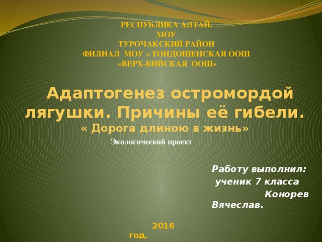 РЕСПУБЛИКА АЛТАЙ. МОУ ТУРОЧАКСКИЙ РАЙОН ФИЛИАЛ МОУ « ТОНДОШЕНСКАЯ ООШ  «ВЕРХ-БИЙСКАЯ ООШ»   Адаптогенез остромордой лягушки. Причины её гибели.  « Дорога длиною в жизнь»   Экологический проект  2013 год. Работу выполнил:  ученик 7 класса  Конорев Вячеслав.  2016 год.