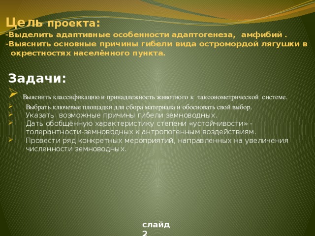 Цель  проекта :   -Выделить адаптивные особенности адаптогенеза, амфибий .  -Выяснить основные причины гибели вида остромордой лягушки в  окрестностях населённого пункта.   Задачи:  Выяснить классификацию и принадлежность животного  к таксонометрической системе. Выбрать ключевые площадки для сбора материала и обосновать свой выбор. Указать возможные причины гибели земноводных. Дать обобщённую характеристику степени «устойчивости» - толерантности-земноводных к антропогенным воздействиям. Провести ряд конкретных мероприятий, направленных на увеличения численности земноводных.  слайд 2