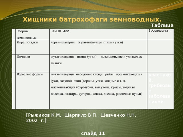 Хищники батрохофаги земноводных. Таблица 2  Формы земноводные Икра. Кладки  Хищники Заболевания. черви-планарии  жуки-плавунцы  птицы (утки) Личинки Взрослые формы жуки-плавунцы  птицы (утки)  ложноконские и улитковые пиявки. жуки-плавунцы  иксодовые клещи  рыбы  пресмыкающихся (ужи, гадюки)  птиц (вороны, утки, хищные и т. д. млекопитающих (бурозубки, выхухоль, крысы, водяная полевка, ондатра, куторка, кошка, лисица, различные куньи) краснухой. грибковые заболеваниями. [Рыжиков К.М., Шарпило В.П., Шевченко Н.Н. 2002 г.] слайд 11
