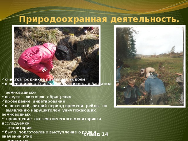 Природоохранная деятельность. очистка родников питающих водоём в операциях: « Спасём головастиков». « Защитим  земноводных» выпуск листовок обращения проведение анкетирование в весенний, летний период времени рейды по  выявлению нарушителей уничтожающих земноводных  проведение систематического мониторинга исследуемой  территории было подготовлено выступление о роли и значении этих  животных . слайд 14  15сентября рисунок 14