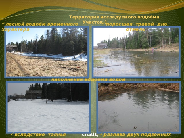 Территория исследуемого водоёма.  Участок 1  . лесной водоём временного характера поросшая травой дно, отмель наполнение водоёма водой  слайд 3 вследствие таянья снега разлива двух подземных родников