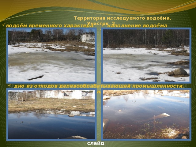 Территория исследуемого водоёма.  Участок 2  . водоём временного характера  наполнение водоёма осадками.   дно из отходов деревообрабатывающей промышленности. Опилки слайд 4