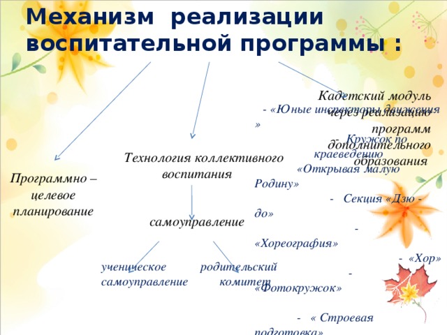   Механизм реализации воспитательной программы :      Кадетский модуль через реализацию программ дополнительного образования  Технология коллективного воспитания   самоуправление   ученическое родительский самоуправление комитет   - «Юные инспекторы движения »  - Кружок по краеведению  «Открывая малую Родину»  - Секция «Дзю - до»  - «Хореография»  - «Хор»  - «Фотокружок»   - « Строевая подготовка» Программно –целевое планирование 