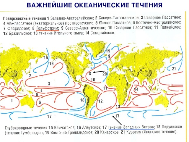 ВАЖНЕЙШИЕ ОКЕАНИЧЕСКИЕ ТЕЧЕНИЯ 