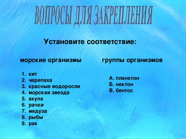 Установите соответствие: морские организмы группы организмов кит черепаха красные водоросли морская звезда акула рачки медуза рыбы рак  А. планктон Б. нектон В. бентос 