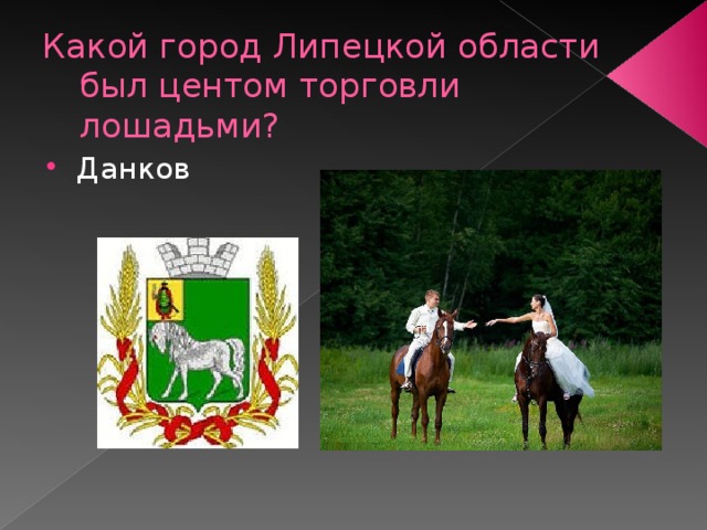 Какой город Липецкой области был центом торговли лошадьми? Данков  