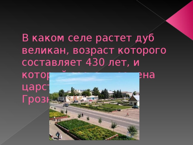   В каком селе растет дуб великан, возраст которого составляет 430 лет, и который застал времена царствования Ивана Грозного? 
