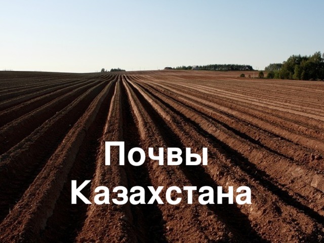 Почвы Казахстана 