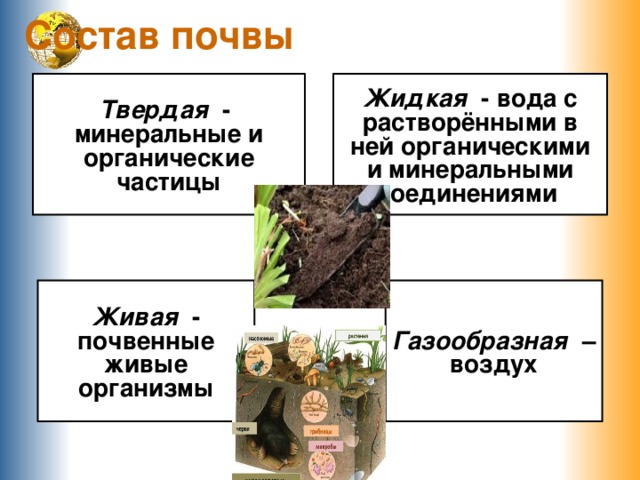 Состав почвы картинка