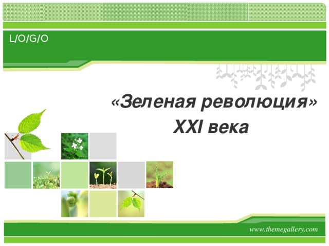    «Зеленая революция»  XXI века  