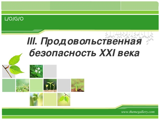 III . Продовольственная безопасность XXI века 