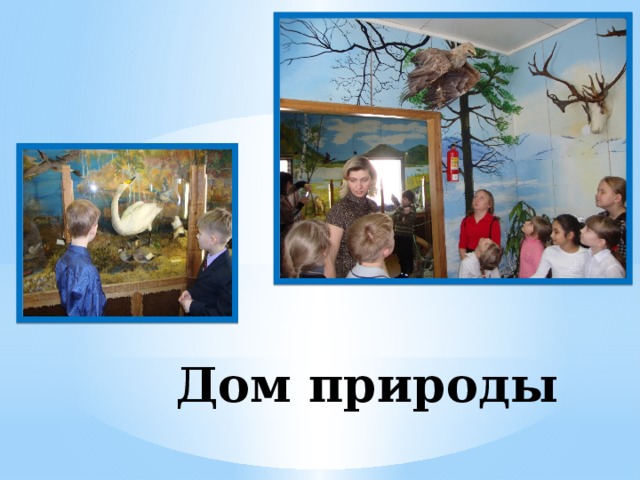 Дом природы
