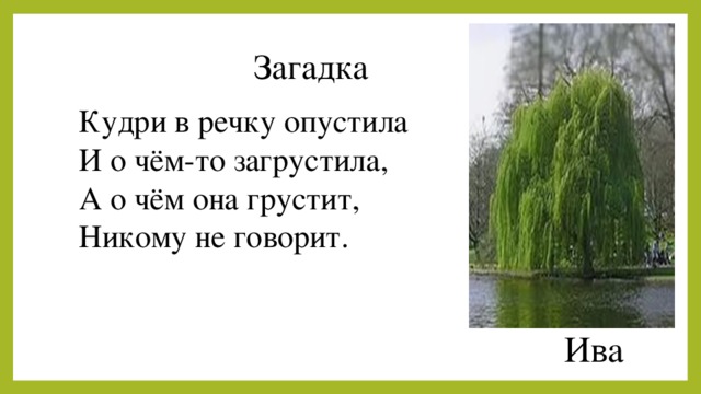 Кудри в речку опустила и о чем-то загрустила о чем она грустит никому не говорить