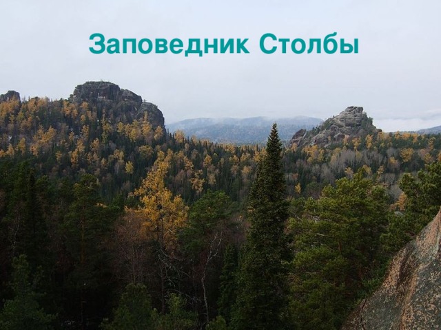 Заповедник Столбы 