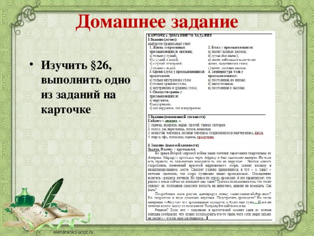 Домашнее задание