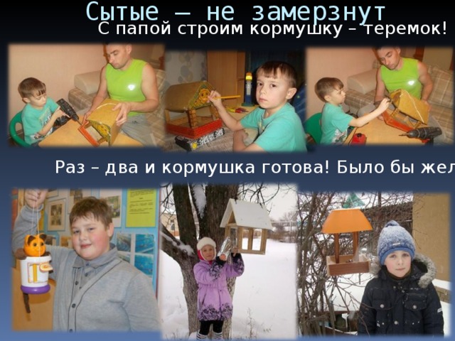 Сытые – не замерзнут С папой строим кормушку – теремок! Раз – два и кормушка готова! Было бы желание! 