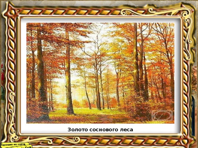 Золото соснового леса 