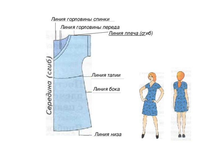 Линия горловины спинки Линия горловины переда Линия плеча (сг иб) Линия талии Линия бока Линия низа 