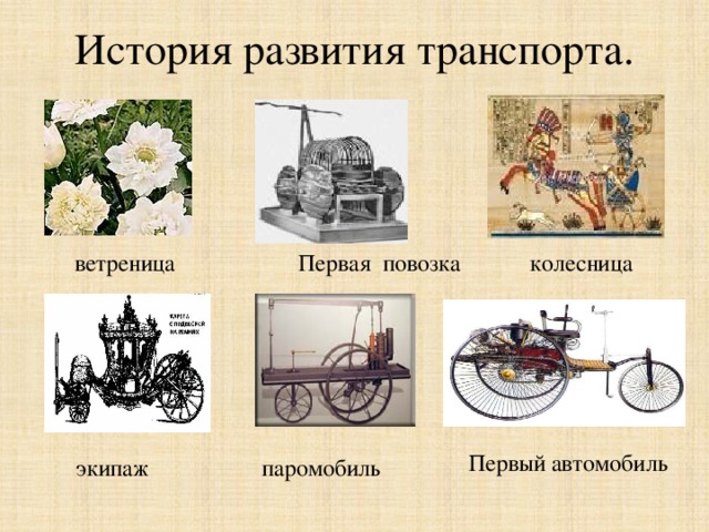 История развития транспорта. ветреница Первая повозка  колесница  Первый автомобиль паромобиль  экипаж 
