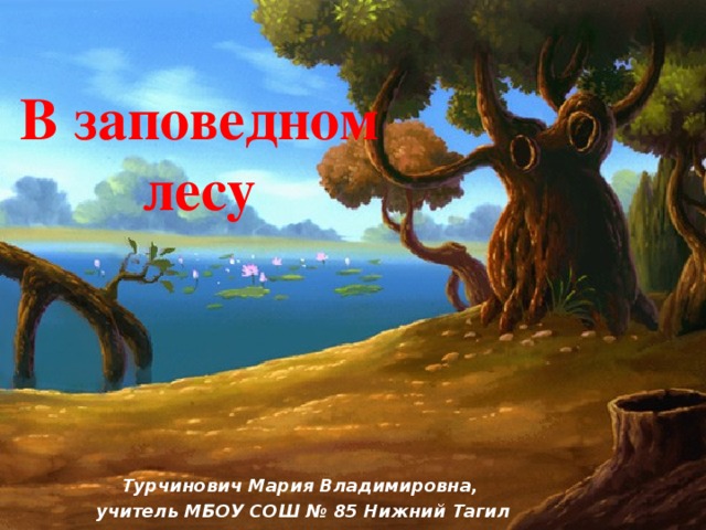 В заповедном лесу Турчинович Мария Владимировна,  учитель МБОУ СОШ № 85 Нижний Тагил