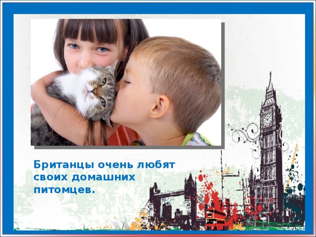 Британцы очень любят своих домашних питомцев.
