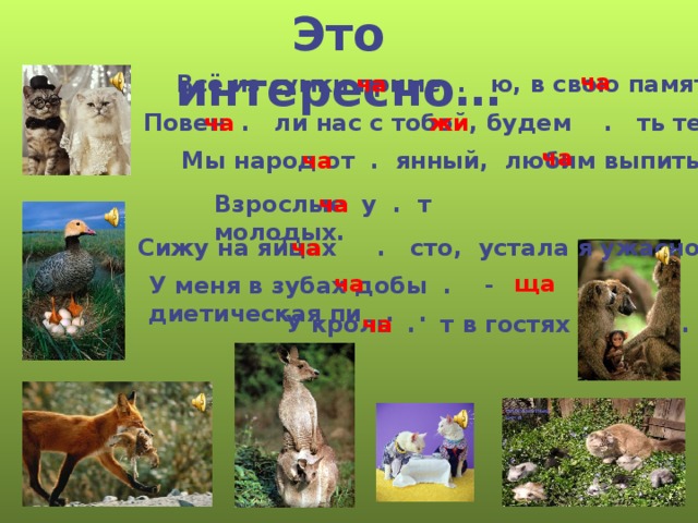Это интересно… ча Всё из сумки приме . ю, в свою память зака . ю. ча  жи ча Повен . ли нас с тобой, будем . ть теперь семьёй. ча ча Мы народ от . янный, любим выпить . ю мы. Взрослые у . т молодых. ча Сижу на яйцах . сто, устала я ужасно. ча ча ща У меня в зубах добы . - диетическая пи . . ча У кроль . т в гостях котище. Снегирь  
