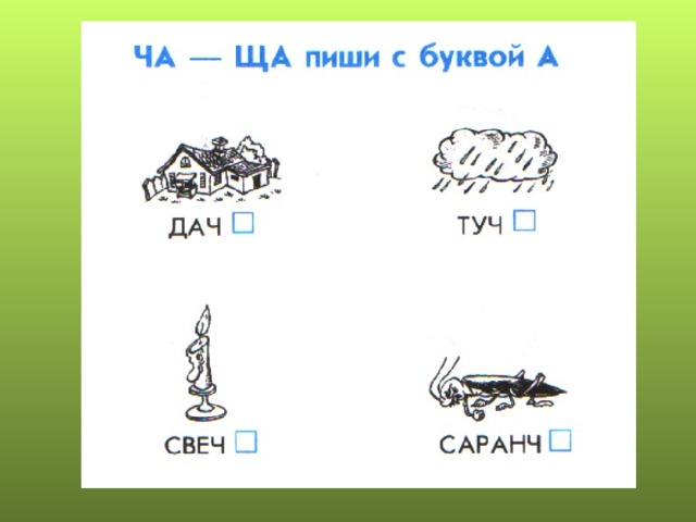 Снегирь  