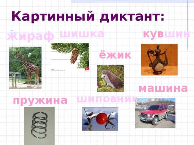 Картинный диктант: шишка кув шин жираф ёжик машина шиповник пружина 