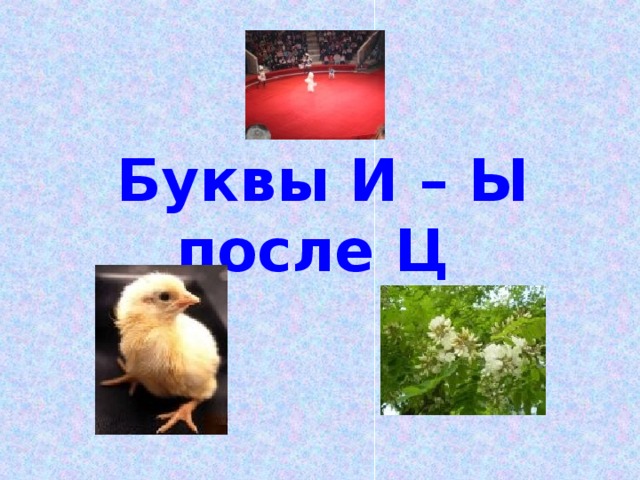   Буквы И – Ы после Ц 