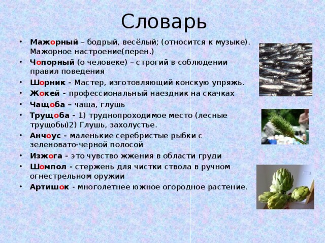 Словарь Маж о рный – бодрый, весёлый; (относится к музыке). Мажорное настроение(перен.) Ч о порный (о человеке) – строгий в соблюдении правил поведения Ш о рник - Мастер, изготовляющий конскую упряжь. Ж о кей - профессиональный наездник на скачках Чащ о ба – чаща, глушь Трущ о ба - 1) труднопроходимое место (лесные трущобы)2) Глушь, захолустье. Анч о ус - маленькие серебристые рыбки с зеленовато-черной полосой Изж о га - это чувство жжения в области груди Ш о мпол - стержень для чистки ствола в ручном огнестрельном оружии Артиш о к - многолетнее южное огородное растение.  