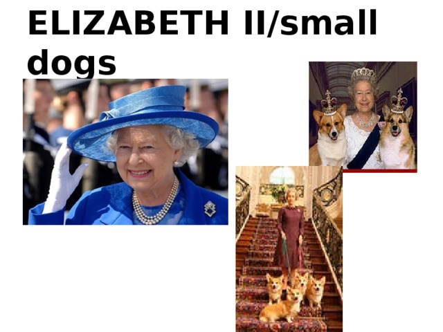 ELIZABETH II/small dogs 