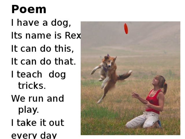 Poem I have a dog, Its name is Rex. It can do this, It can do that. I teach dog tricks. We run and play. I take it out every day 