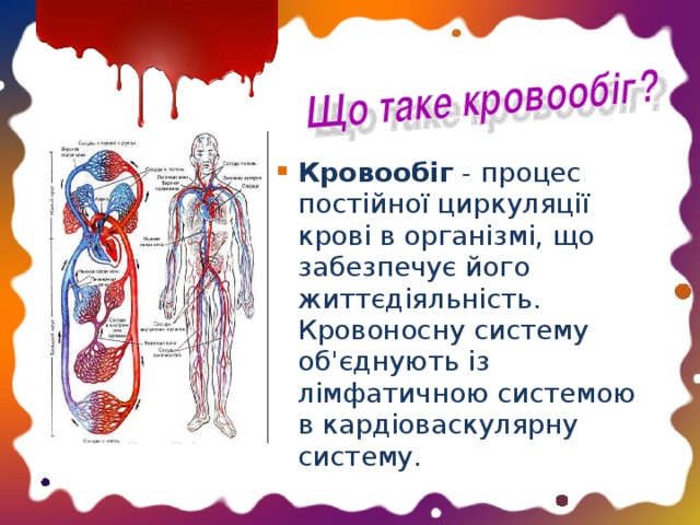Кровообіг  - процес постійної циркуляції крові в організмі, що забезпечує його життєдіяльність. Кровоносну систему об'єднують із лімфатичною системою в кардіоваскулярну систему.