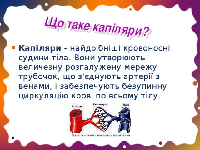 Капіляри - найдрібніші кровоносні судини тіла. Вони утворюють величезну розгалужену мережу трубочок, що з'єднують артерії з венами, і забезпечують безупинну циркуляцію крові по всьому тілу.