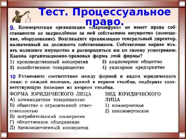Процессуальные отрасли презентация
