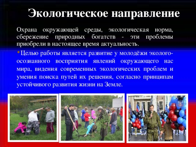 Социальный проект патриотической направленности