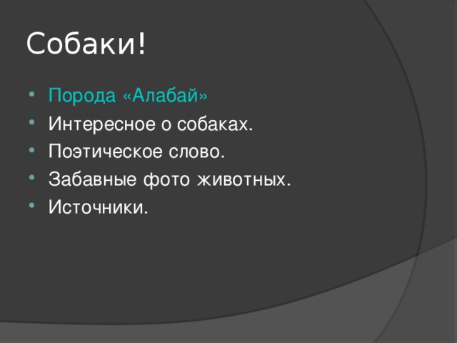 Собаки!