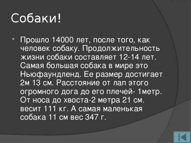 Собаки!