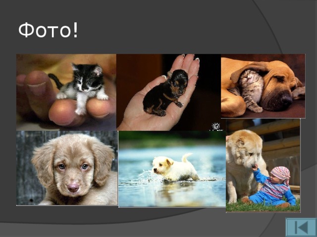 Фото!