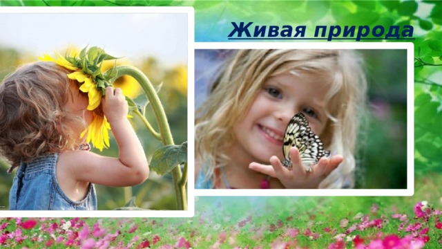 Живая природа 