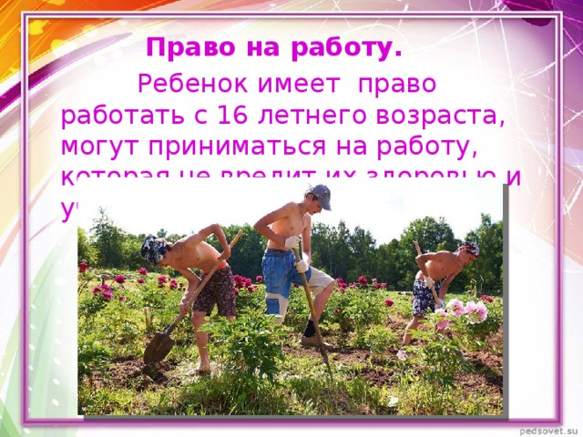     Право на работу.   Ребенок имеет  право работать с 16 летнего возраста, могут приниматься на работу, которая не вредит их здоровью и учению. 