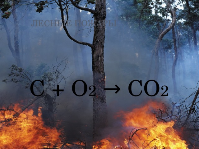 Лесные пожары C + O 2 → CO 2 